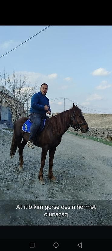 Akvariumlar: Erkək, il: 6 — 1