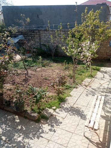 çay evi icarəyə verilir: Digah, 230 kv. m, 3 otaqlı, Qaz, İşıq, Su — 11