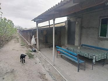 ulduzda kirayə evlər: Ferma mal bazarina bir kilometr mesafede yerlesirqarabag su — 6