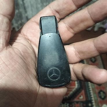 Mercedes arginal acaridi