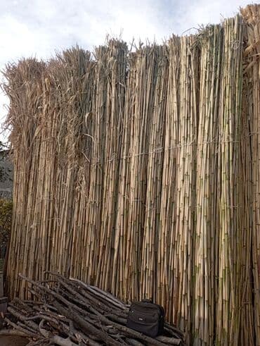 набор для рисования бишкек: Qamiş satılır ünvan Ağstafa Rayon Aşagi Kəsəmən kəndi ətraflı zəng — 3