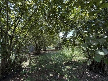 ahmadli park residence: Satılır: geniş və işıqlı həyət evi - Planlama: bir neçə otaqdan — 10