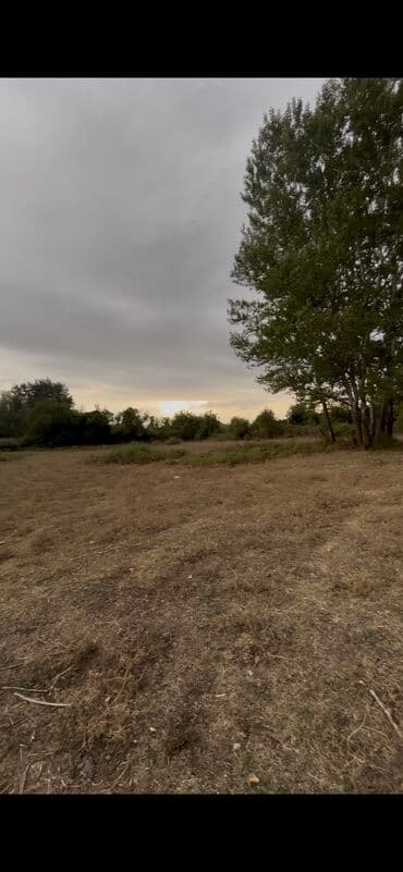 fatmayı torpaq: 10 sot, Kupça (Çıxarış) — 8