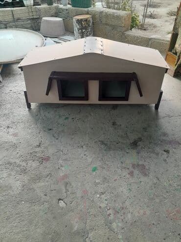 menks cinsi pişik: 2 местных для кошек . с заказом тоже готовлу. водоустойцмй — 8