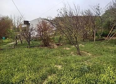 30 mine evler: 6 sot, Tikinti, Makler, Kupça (Çıxarış), Texniki pasport — 5