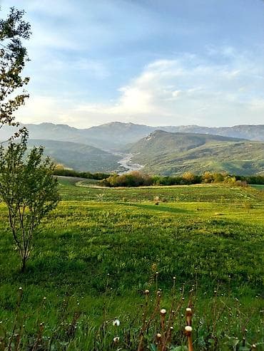 qalada torpaq satilir: Kənd təsərrüfatı, Kupça (Çıxarış) — 6