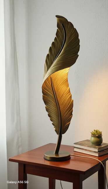 qar qızı: Məhsul: LED divar lampası – “Lələk” dizaynlı dekorativ işıq Təsvir: - — 1