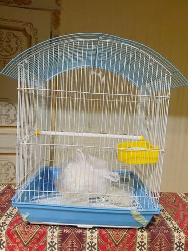 quş yuvasi: Qəfəs – quşlar üçün - Material: ağ metal barmaqlıq, möhkəm plastik — 1