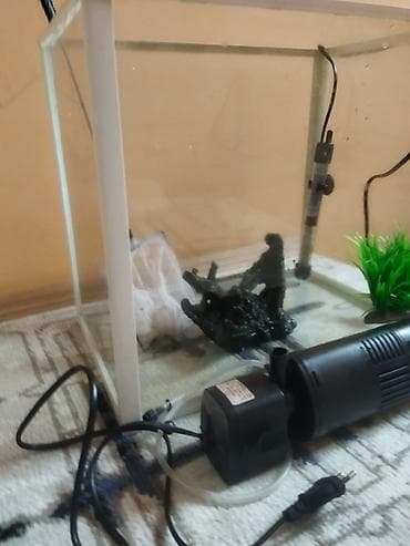 qoyun satisi 2024: Dördbucaq akvarium, Boş, 40 l, Ödənişli çatdırılma — 4