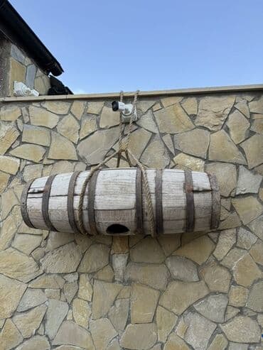 daş palıd: Boçka, Palıd — 1