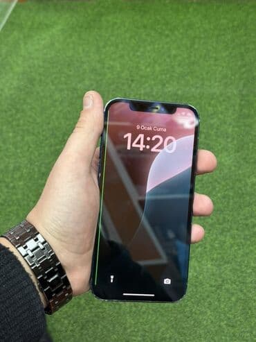 Fly: IPhone 12, Голубой, Face ID — 4