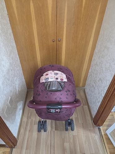 sunnet kilotu: Cins: Qız — 3