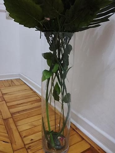 sirqa gulu: Güldan hun 85 sm — 3