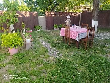 berde ev: Quba rayonu 1ci Nigedi kendinde 3otaqli seliqeli ev gunluk kiraye — 4