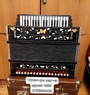 Fleytalar: Akustik Akkordeon — 1