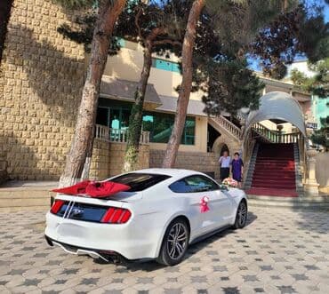 аренда авто ош матиз без залога: 2018-ci il Mustang. Toy, Nişan və digər tədbirlər üçün sifariş edə — 5