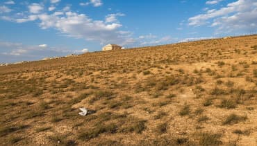 Həyət evləri və villalar: 30 sot, Kənd təsərrüfatı, Maklerlər narahat etməsin, Kupça (Çıxarış) — 1