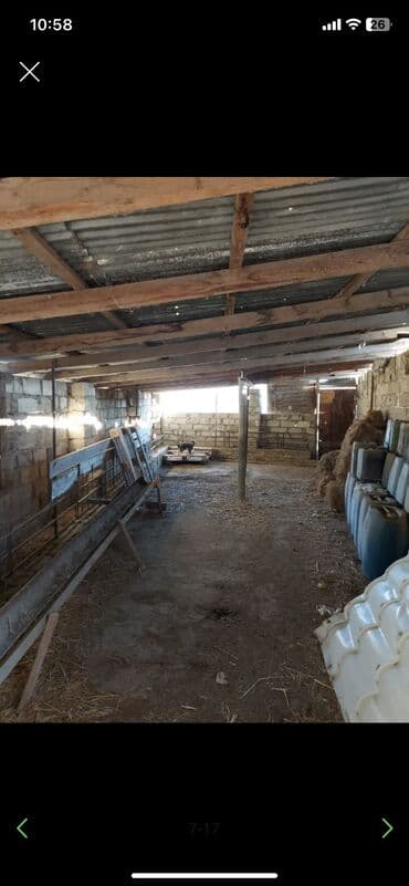 xaşa xuna: Qala qəs. 3 otaqlı, 550 kv. m, Kredit yoxdur, Orta təmir — 10