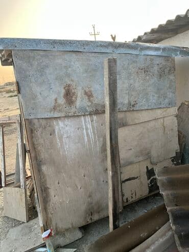 Akvarium aksessuar və ləvazimatları: Göyərçinlər zabratdadı hamsı uçan quşlardı isdəyən olsa gəlsin həyətdə — 9