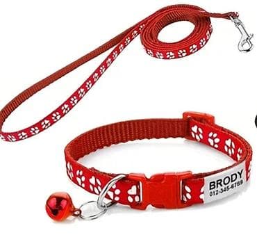 аксесуары для животных: Məhsul: Pişiklər üçün əşyalar dəsti:Hamsı daxil 65 azn.Tek tekde — 6