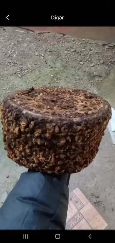 шуба из овчины азербайджанская: Sabirabada qedimi papaq satlır 200azın 80ilin papaqdı — 1