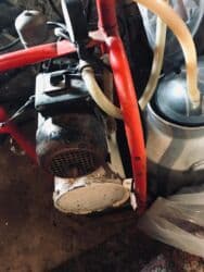 iney sagan aparat: Tək bidon, Türkiyə, Paslanmaz bidon — 5