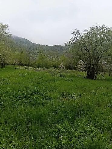 10 sot, Kənd təsərrüfatı, Kupça (Çıxarış)