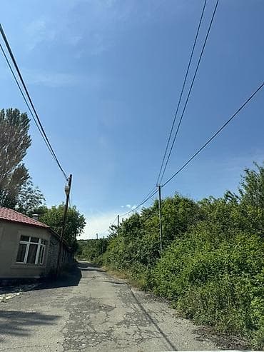 30 sot, Tikinti, Kupça (Çıxarış)