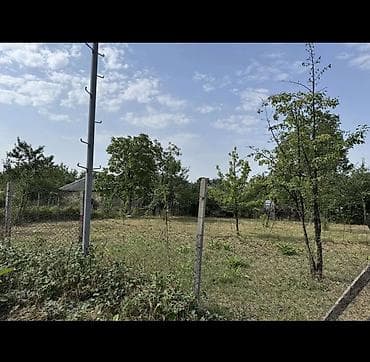 ev satilir: 9 sot, Tikinti, Mülkiyyətçi, Kupça (Çıxarış) — 5