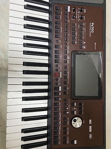 Sintezator, Korg, Yeni — 1