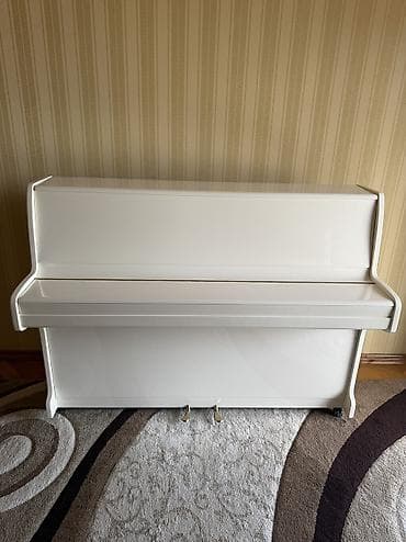 Piano, Zimmermann, Akustik — 10