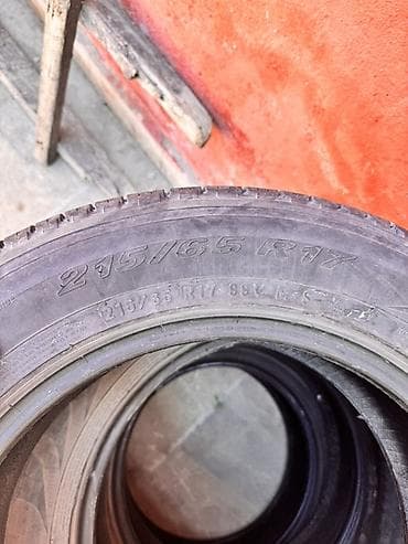 17 lik: Şin Pirelli 215 / 65 / R 17 — 2