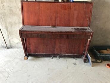 weinbach пианино: Upright pianino. Belarus - Korpus: tünd qəhvəyi ağac korpus, klassik — 1