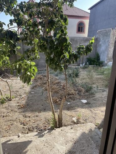 дачные земельные участки: Баку, Пос. Раманы, 320 м², 8 комнат, Без бассейна, Интернет, Газ, Электричество — 3