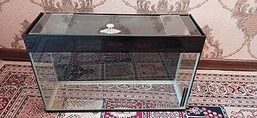 Dördbucaq akvarium, Boş, 64 l, Ünvandan götürmə