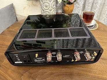 ses ucaldici: Модель: Peachtree Audio Carina X. Hypex N Core X Series — 7