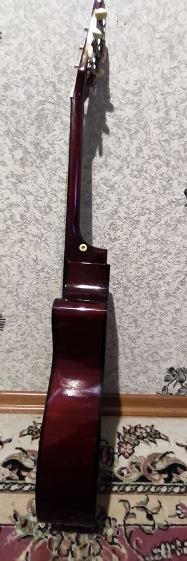 Səs avadanlığı: Gitara akustik cexol hədiyə — 2