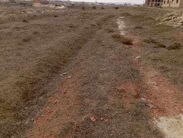 Kirayə torpaq sahələri: 40 sot, Tikinti, Mülkiyyətçi, Kupça (Çıxarış) — 3