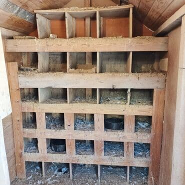 pişik yuvası: Salam Aleykum Quşxana satılır istəyən olsa əlaqə saxlasın .hündürlük — 6