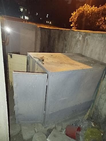 mayali yumurta satisi: Göyərçin hini — 5