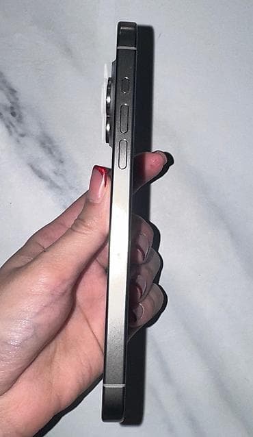 iphone se 2 ikinci el: IPhone 15 Pro Max, 256 GB, Natural Titanium, Face ID — 3