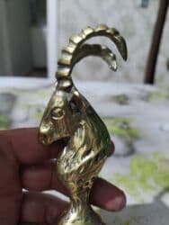 qizil onluq: Latun dağ keçisi — 2