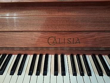 Velosiped aksesuarları: Piano, Akustik — 3
