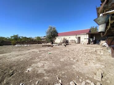 şıxovda torpaq sahəsi: 6 sot, Kənd təsərrüfatı, Kupça (Çıxarış) — 11