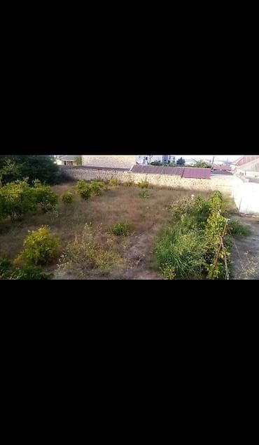 culyan kendinde torpaq satilir: 6 sot, Tikinti, Maklerlər narahat etməsin, Kupça (Çıxarış) — 2