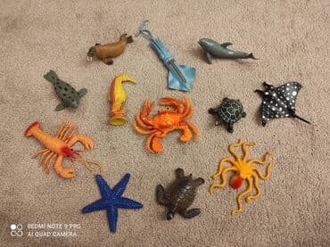 pop it qiyməti: Babylandan 18 azn alinib.Her biri yaxwi veziyyetdedir.Hamisi birlikde — 1