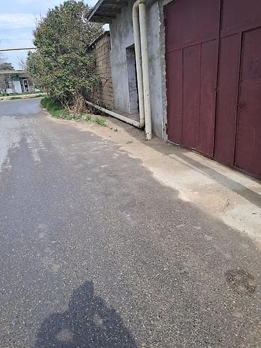 Təcili olaraq Arendaya verilir. Ünvan Binə Savxoz. Ciddi şəxslər