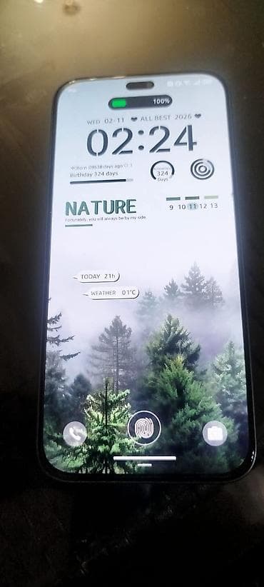 Honor 400 Lite, 256 GB, rəng - Boz, Barmaq izi