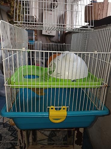 qefes: Hamster üçün tam dəst qəfəs Xüsusiyyətlər: - Metall çubuqlu, üst — 3
