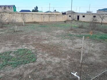 bine atciliqda torpaq: 7 sot, Tikinti, Mülkiyyətçi, Kupça (Çıxarış) — 3